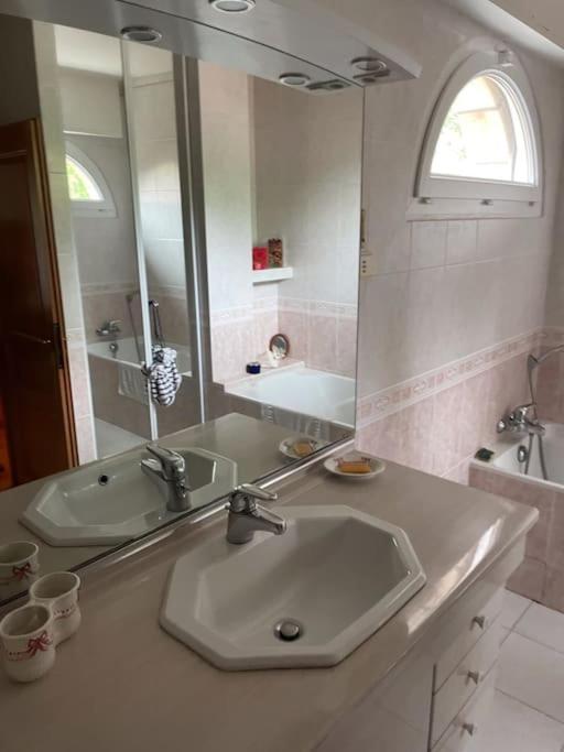 Belle Villa Basque Avec Piscine Et Jardin De 3000M2 サン＝ジャン＝ド＝リュズ エクステリア 写真